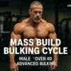 Mass Build Bulking Cycle - Image 2