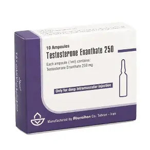 Test Enanthate 250mg